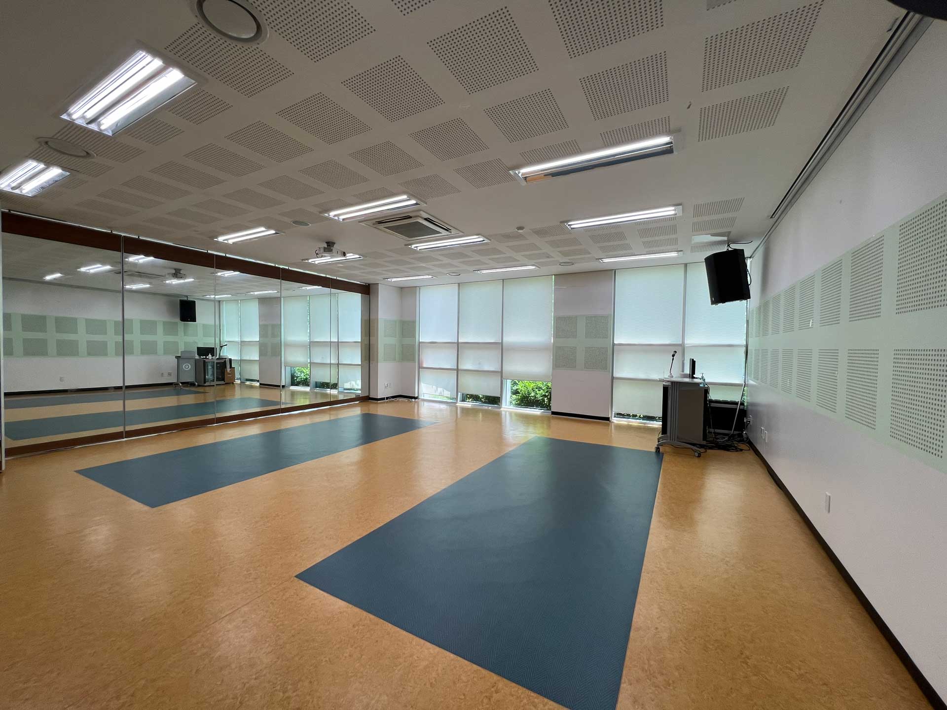 퍼포먼스스튜디오